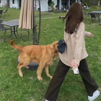 朋友请吃饭第三季